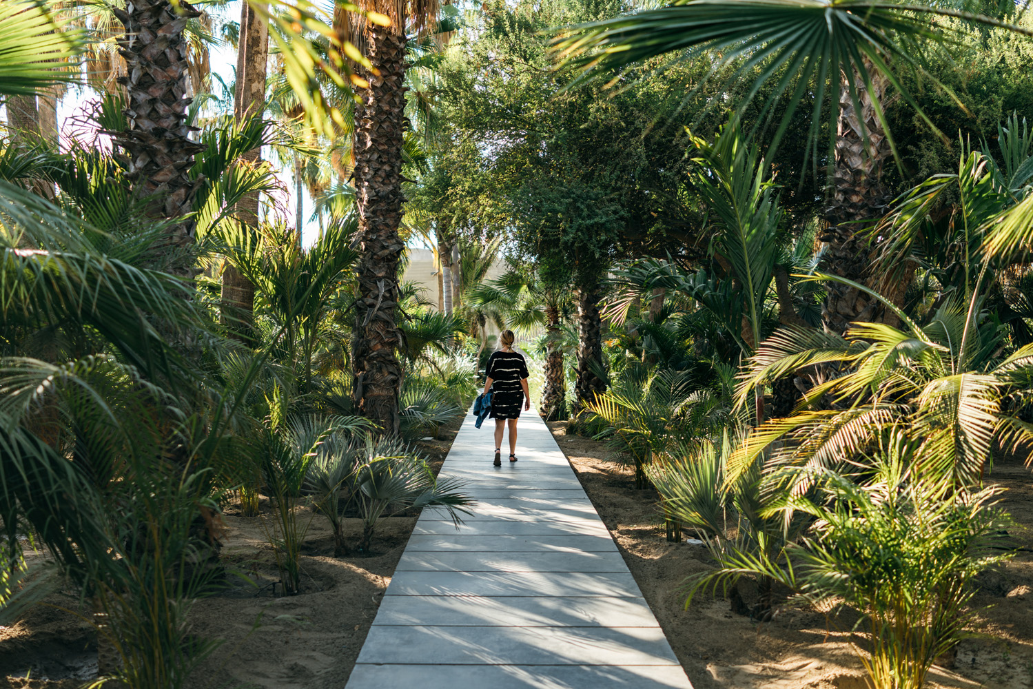 San Jose del Cabo, Mexico